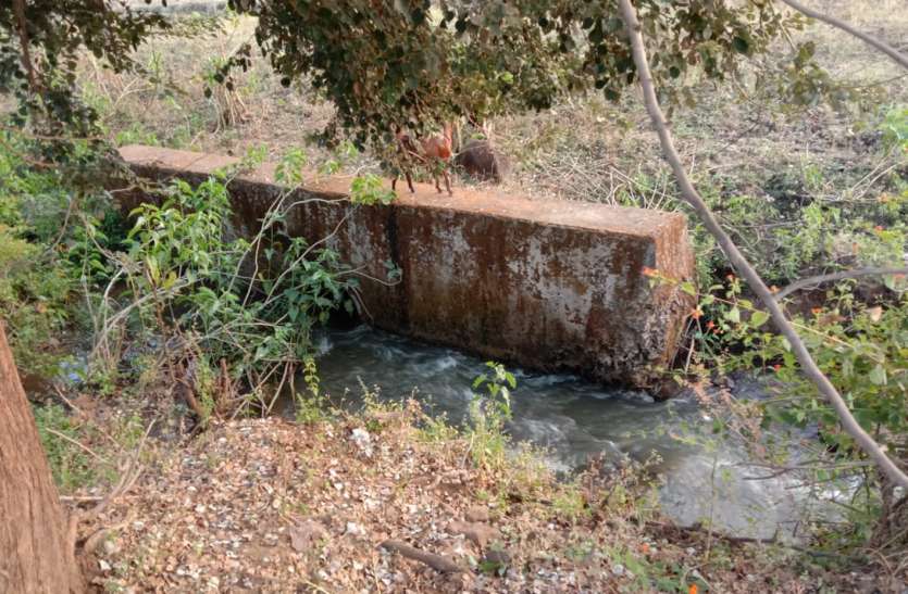Disputes between the trust's officer and the school staff सिंधिया देव स्थान ट्रस्ट हरिदर्शन स्कूल के खेल मैदान पर करने पहुंचा बाउंड्रीवॉल, छात्रों ने किया हंगामा