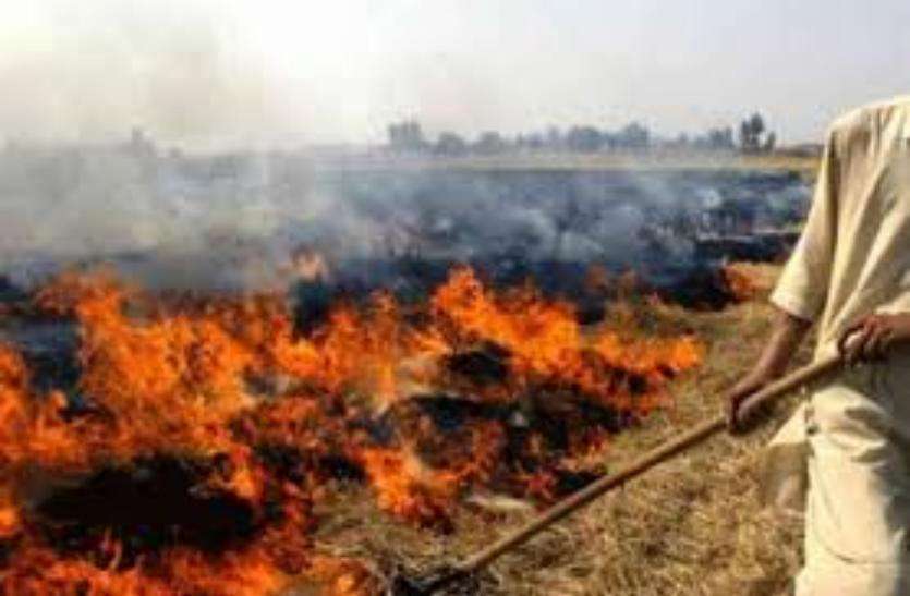 download.jpeg किसानों को खेत में पराली जलाना पड़ा महंगा, 7 के खिलाफ अधिकारियों ने दर्ज कराया मुकदमा- देखें वीडियो