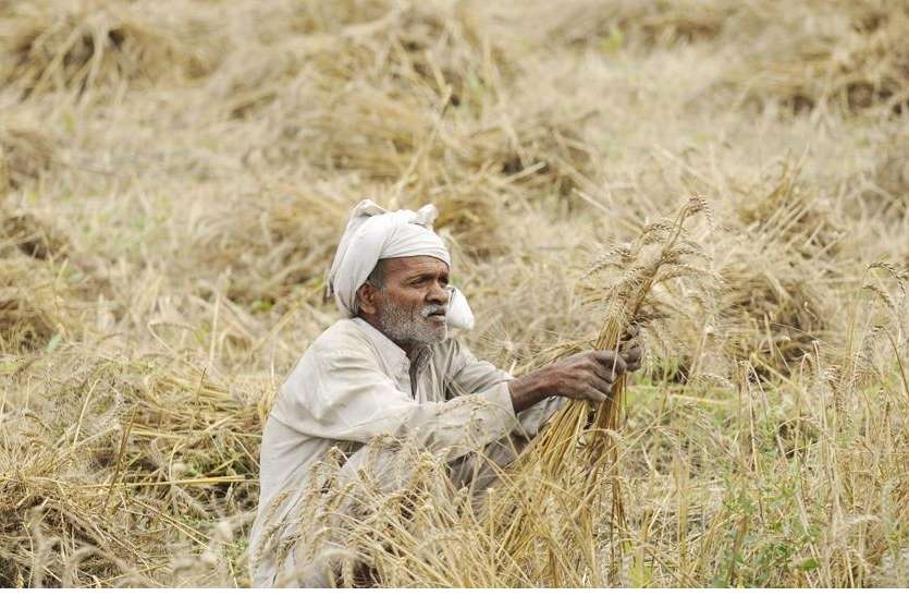Farmer Loan : राजस्थान की माफी योजना का अध्ययन करेगा महाराष्ट्र Farmer Loan : राजस्थान की कर्जमाफी योजना का अध्ययन करेगा महाराष्ट्र