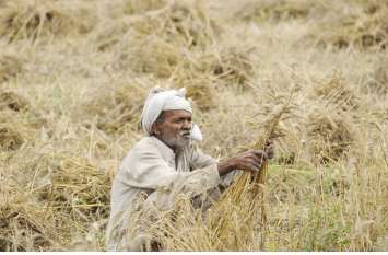 72 thousand farmers will be given a loan of 160 crores, Crop Loan किसानों के लिए अब आई ये अच्छी खबर, रबी के लिए 72 हजार किसानों को 160 करोड़ का बंटेगा ऋण