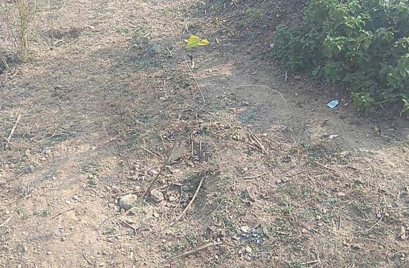 workers-did-not-dig-pits-for-plantation प्लांटेशन के लिए खुदवाए गड्ढे नहीं दी मजदूर