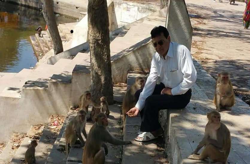 गिलहरी बनी गर्लफ्रेड और बंदर मामा हुआ जिगरी दोस्त गिलहरी बनी गर्लफ्रेड और बंदर मामा हुआ जिगरी दोस्त