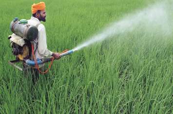 The fertility of soil is ending with the use of chemi विश्व मृदा दिवस : रसायनों का प्रयोग से खत्म हो रही है मिट्टी की उर्वरा शक्ति