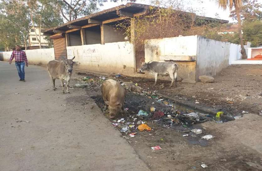 जगह-जगह गंदगी फैली होने से रहता है बीमारियों का डर जगह-जगह गंदगी फैली होने से रहता है बीमारियों का डर