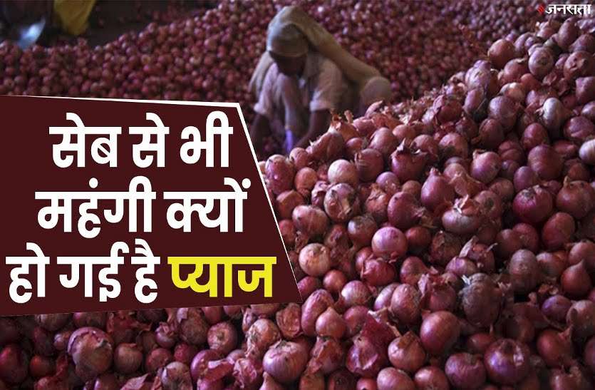 प्याज का दाम सुन ठंड में आ रहा पसीना, जानिए क्यों लगातार बढ़ रहे दाम प्याज का दाम सुन ठंड में आ रहा पसीना, जानिए क्यों लगातार बढ़ रहे दाम