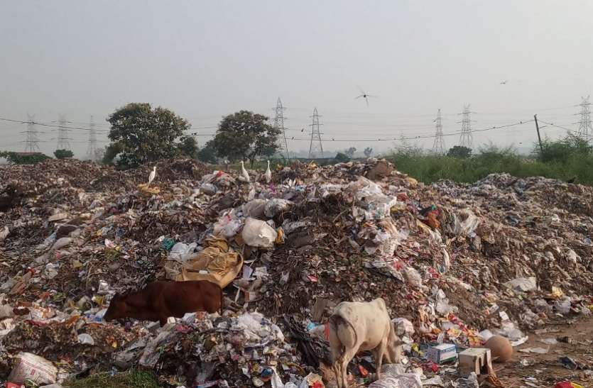 Singrauli Municipal Corporation officials careless सांसों पर मुसीबत बनी दूषित हवा : कचरा प्लांट की बदबू बनी मुसीबत, निस्तारण व्यवस्था विफल