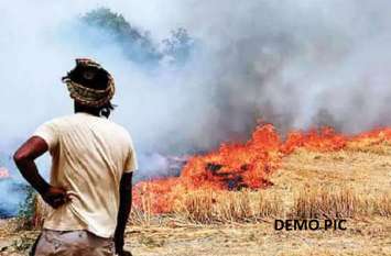 FIR Against 6 People for Parali or Stubble Burning पराली जलाने पर आधा दर्जन के खिलाफ एफआईजार दर्ज
