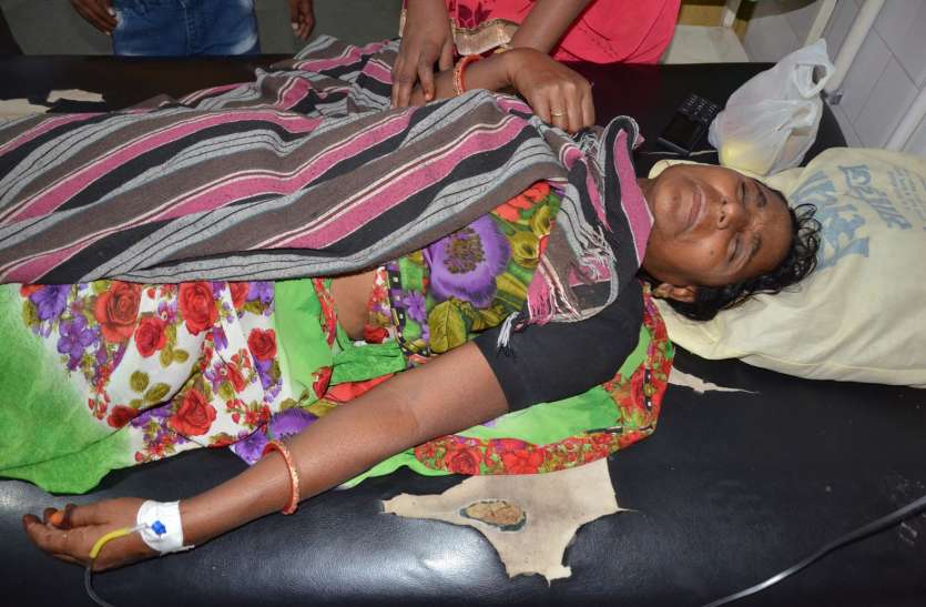 A woman and child were attacked in the field by honeybees attacked यहां दादी-पोते पर टूट पड़ी मधुमक्खियां, बड़ी मुश्किल से बचाई जान