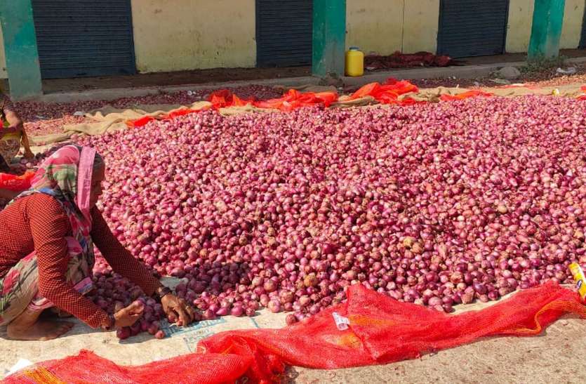 pyaj ke rate khandwa थोक मंडी 90 रुपए तो फुटकर में 100 रुपए किलो पहुंचा प्याज