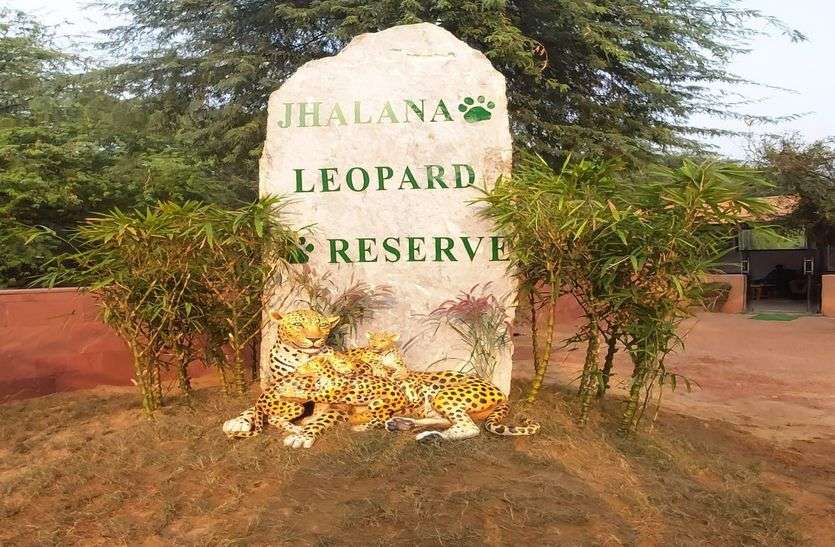लेपर्ड प्रोजेक्ट को लगी 'सर्दीÓ लेपर्ड प्रोजेक्ट को लगी 'सर्दीÓ