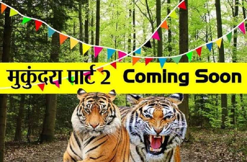 कभी भी मुकुन्दरा की तरफ बढ़ सकते हैं रणथंभौर के बाघ, मुख्य वन संरक्षक ने वन अधिकारियों को दी हिदायत कभी भी मुकुन्दरा की तरफ बढ़ सकते हैं रणथंभौर के बाघ, मुख्य वन संरक्षक ने वन अधिकारियों को दी हिदायत