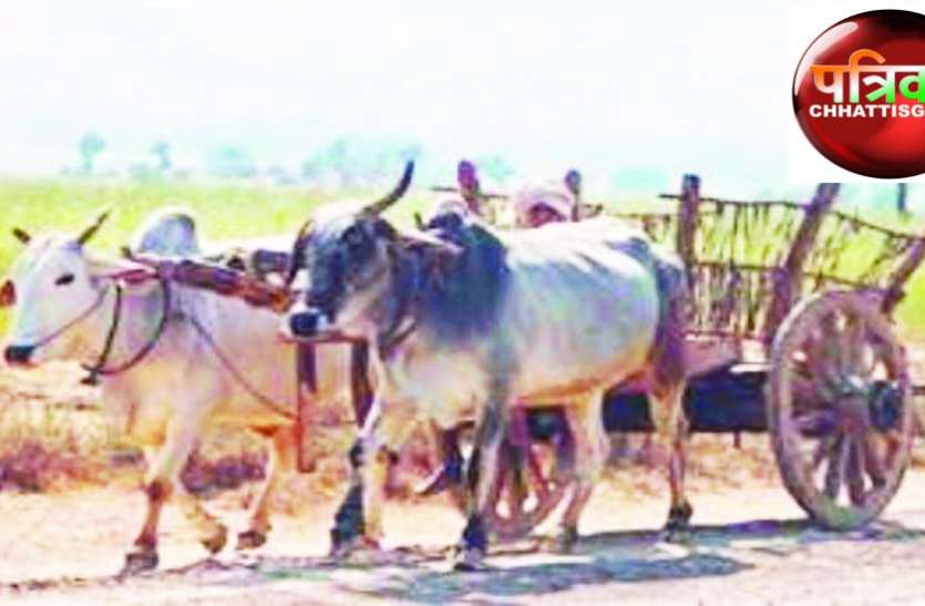 , एसी कार से महंगी चुनावी बैलगाड़ी, प्रचार किया तो खर्च होंगे 2400 रुपए