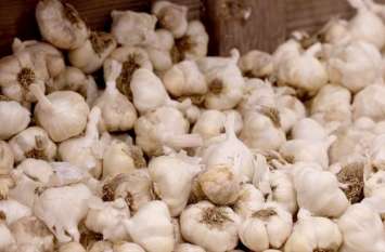 price of Garlic hike more than 100 rs of kg after onion price अब प्याज के बाद लहसुन ने लगाया शतक, एक किलो के भाव जानकर उड़ जाएंगे होश