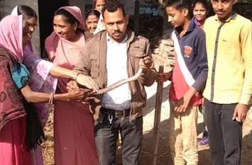 kobra snake आबादी बस्ती में मिले दुर्लभ प्रजाति वाले ऐसे सांप