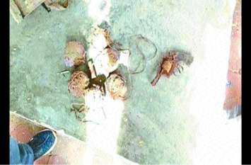 Ammo bombs found in excavation native revolver पुलिया की खुदाई में निकले बारूद के बम, देशी रिवाल्वर, पुलिस ने जब्त किया