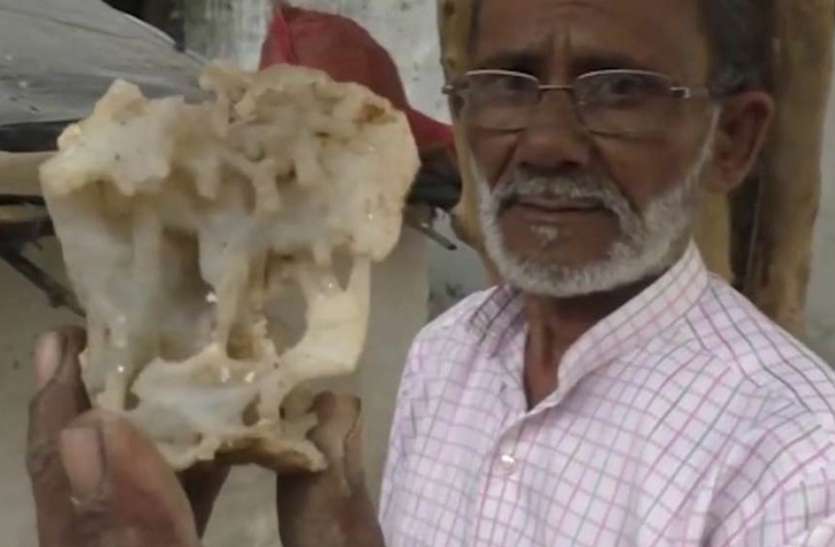 Exclusiv: Amazing world of art is hidden in stones पत्थरो में छिपा है कला का अद्भुत संसार