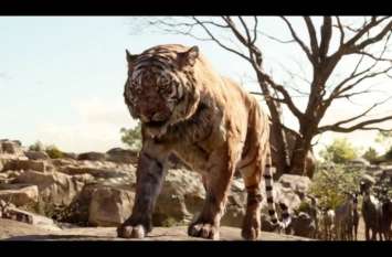 The tiger is in such a situation that the farmers left the farm बाघ की दशहत ऐसी की किसानों ने खेत पर जाना छोड़ा