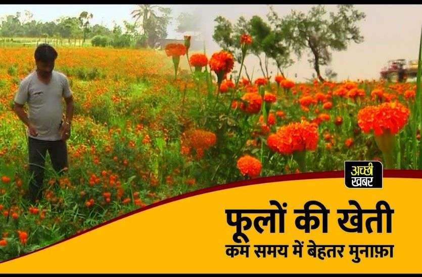 विंटर फ्लावर्स डे पर विशेष : फूलों की खेती में भी रोजगार की अपार संभावनाएं विंटर फ्लावर्स डे पर विशेष : फूलों की खेती में भी रोजगार की अपार संभावनाएं
