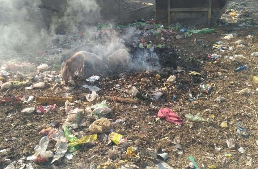 चरमरा रही शहर की सफाई व्यवस्था चरमरा रही शहर की सफाई व्यवस्था