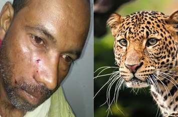 leopard attack on villager in dhar खेत से घर लौट रहे किसान पर तेंदुए ने किया हमला, चीख सुनकर दौड़े लोग