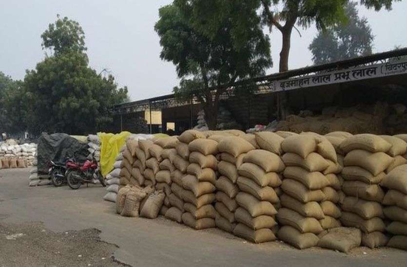 मंडी समिति की आय में इजाफा मंडी समिति की आय में इजाफा