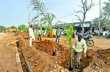 Now city's roads will look beautiful, plantation started अब सुंदर दिखेगी शहर की सड़कें, पौधरोपण से हुई शुरुआत