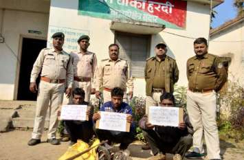 Wild boar caught with current, caught three hunting deer करंट लगाकर जंगली सुकर, हिरन का शिकार करते तीन पकड़ाए