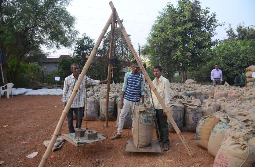 धान खरीदी: रकबा घटाया, सूखत के नाम पर ज्यादा धान, खरीदी भी आधी हो गई धान खरीदी: रकबा घटाया, सूखत के नाम पर ज्यादा धान, खरीदी भी आधी हो गई