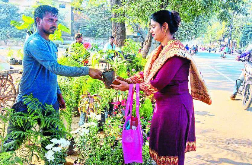 विंटर सीजन में इन फूलों से महकाएं अपने घर-आंगन को विंटर सीजन में इन फूलों से महकाएं अपने घर-आंगन को