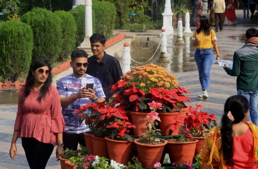 विंटर फ्लावर डे आज : घरों में ही नहीं होटलों में भी महक रहे फूल रंग-बिरंगे फूलों से महक रहे घर-बार, शादियों में भी बढ़ा रहे शोभा विंटर फ्लावर डे आज : घरों में ही नहीं होटलों में भी महक रहे फूल रंग-बिरंगे फूलों से महक रहे घर-बार, शादियों में भी बढ़ा रहे शोभा