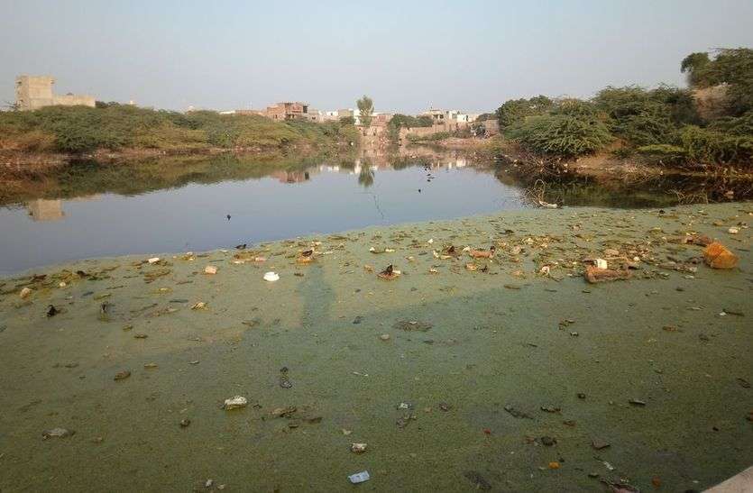 जिस उद्यान को नाडी बनाना था वह अतिक्रमण व गंदगी से अटी जिस उद्यान को नाडी बनाना था वह अतिक्रमण व गंदगी से अटी