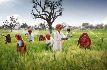 farmers warned for over use of pesticides in crops. किसानों को हिदायत...इनका इस्तेमाल जरा संभलकर