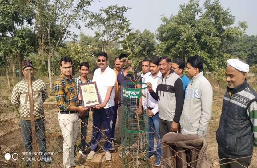 Plantation कलेक्टर ने मामौन पहाड़ी पहुंच कर देखा अपना पौधा, किया सम्मान
