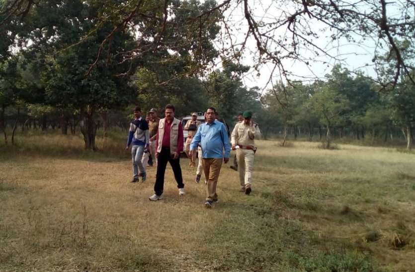 Chital shifting in tikamgarh बोमा पद्धति से पकड़े जाएंगे चीतल, चरणबद्ध तरीके से होगी शिफ्टिंग