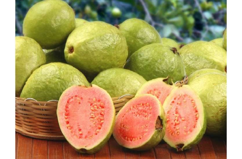production of fruits आम-अमरूद और नींबू की बढेग़ी पैदावार