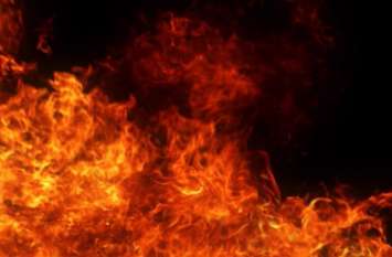 Fire in thatched house, scorching death of eight cattle छप्परपोश घरों में आग, झुलसने से आठ मवेशियों की मौत