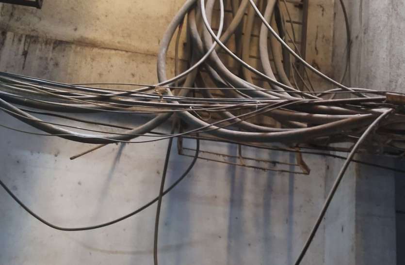 ग्राहकों का ही नहीं यहां तारों का भी है जमघट ग्राहकों का ही नहीं यहां तारों का भी है जमघट