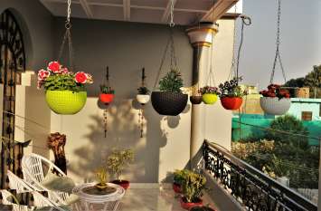 Environmental Protection: Home garden was taken care of for years पर्यावरण संरक्षण : घर में सजा ली बगिया, वर्षों से कर रहे देखरेख