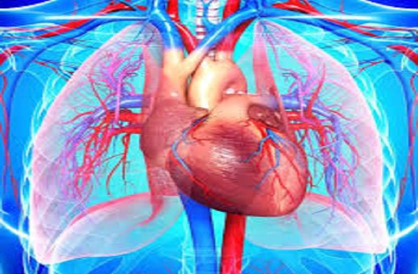 Health: हृदय रोग के शुरुआती लक्षण क्या हैं,पढ़ें और समझें