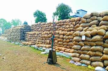 Paddy transport धान की बंपर आवक से फूलने लगी सांसें, परिवहन जल्द शुरू नहीं होने पर बंद हो सकती है खरीदी, ट्रकों में नहीं लगा जीपीएस