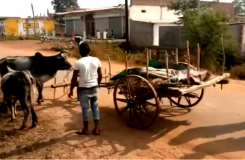Dead body on bullock money demand for post mortem see video मानवता फिर शर्मसार! बैलगाड़ी पर शव, पोस्टमार्टम के लिए पैसों की डिमांड, देखें वीडियो