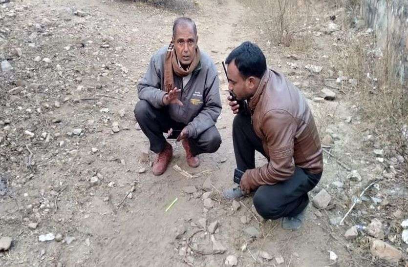 सरिस्का में पहली बार मोबाइल एप से वन्यजीव गणना सरिस्का में पहली बार मोबाइल एप से वन्यजीव गणना