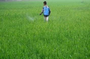 0.27 mg of pesticide we are eating daily with food हम भोजन के साथ रोज खा रहे 0.27 मिलीग्राम कीटनाशक