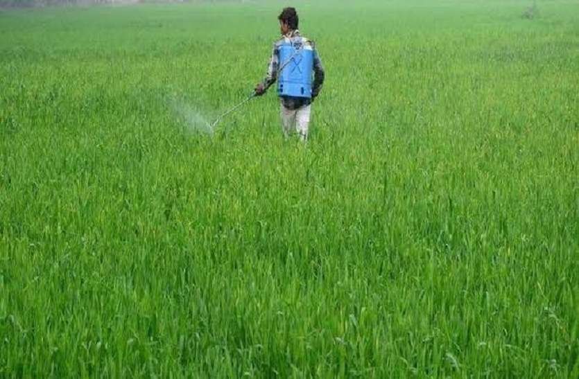 demo picture हम भोजन के साथ रोज खा रहे 0.27 मिलीग्राम कीटनाशक