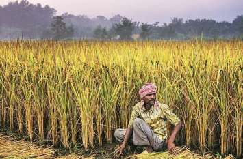 Portal will open again, farmers will get claims of crores फिर से खुलेगा पोर्टल, किसानों को मिलेगा करोड़ों का क्लेम