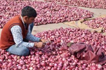 onion prices drop in madhya pradesh today मोदी सरकार ने निकाली तरकीब-सस्ती होने लगी प्याज