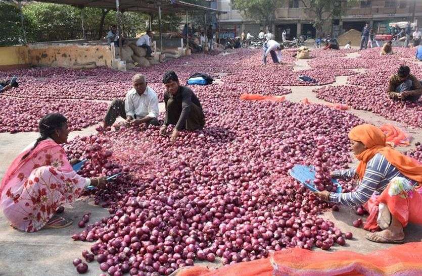 मोदी सरकार ने निकाली तरकीब-सस्ती होने लगी प्याज