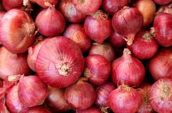 New inward, soft onion started शुरू हुई नई आवक, नरम पडऩे लगा प्याज