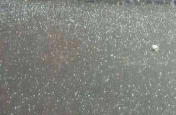 Hail fell in many districts including Jaipur in Rajasthan today weather मौसम ने ली करवट, जयपुर में यहां गिरे बारिश के साथ ओले