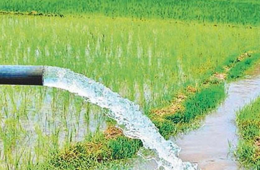 फसल खुद बताएगी उसे सिंंचाई की जरूरत है या नहीं, आईआईटी की नई तकनीक फसल खुद बताएगी उसे सिंंचाई की जरूरत है या नहीं, आईआईटी की नई तकनीक